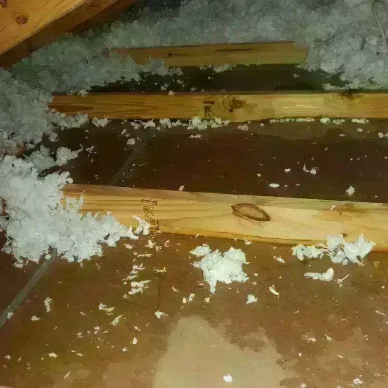 Attic Water Damage in Millersport, OH