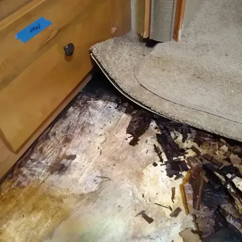 Wood Floor Water Damage in Millersport, OH